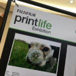 Fuji_Gallery_Display_Unit3_copy