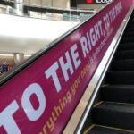 MALL_BRANDING_4_large